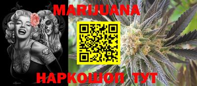 индика Абакан