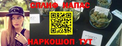 индика Абакан