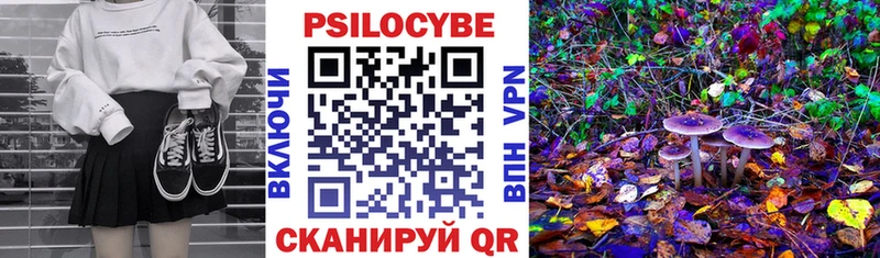 Галлюциногенные грибы Psilocybe Альметьевск