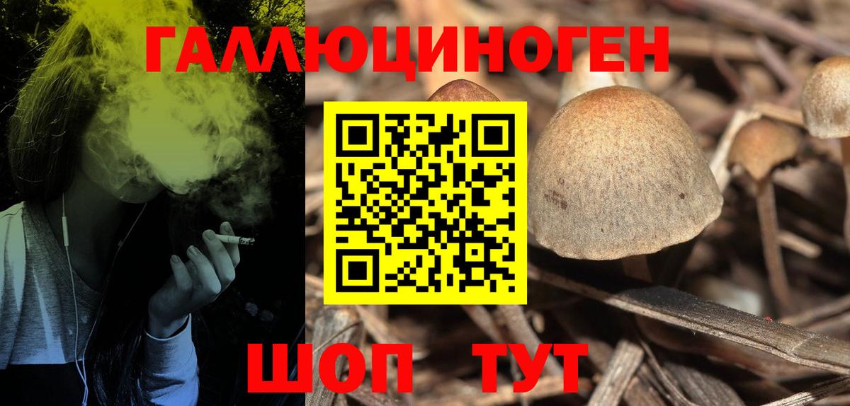 Альметьевск  Псилоцибиновые грибы прущие грибы  Псилоцибиновые грибы Magic Shrooms  Вход с VPN 